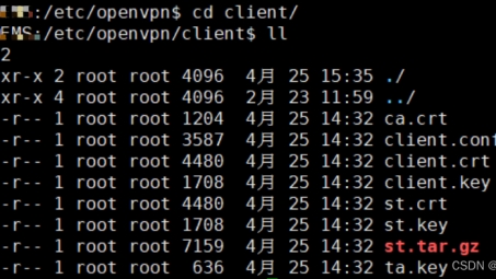 Linux环境下OpenVPN安装与配置指南