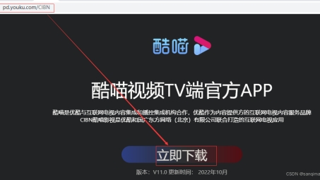 畅享全球自由网络，智能电视VPN Apk安装指南