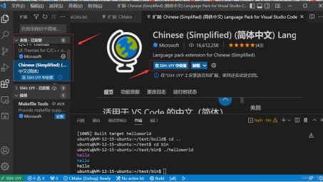 VSCode VPN失效，揭秘防火长城的无懈可击之处