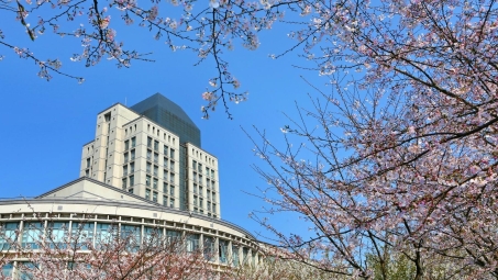 江南大学学子VPN新体验，畅享学术研究无界之旅