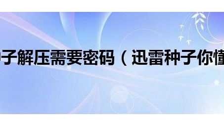 突破限制，VPN助你畅享丰富种子资源