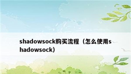 Shadowsocks与VPN全面解析，差异对比及优劣分析