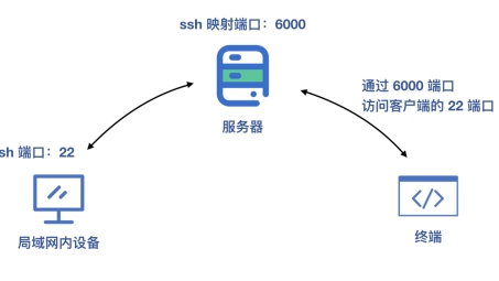 FRP与VPN详解，差异与应用场景剖析