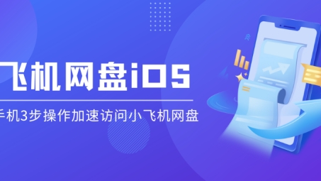 iOS设备上小飞机VPN使用攻略，畅游全球网络无障碍