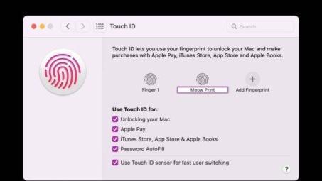 安全指南，深度解析Touch ID VPN使用技巧