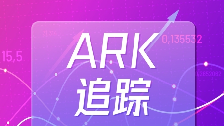 ARK VPN下架内幕，原因揭秘与行业影响解析