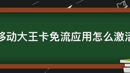 揭秘大王卡使用VPN，流量无忧的秘密策略