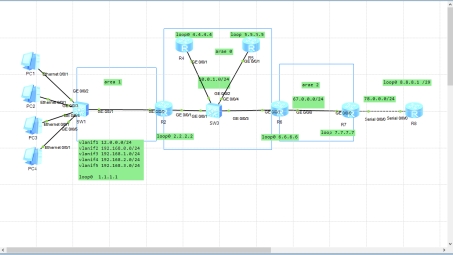 OSPF VPN LSA类型解析，高效网络构建核心要素