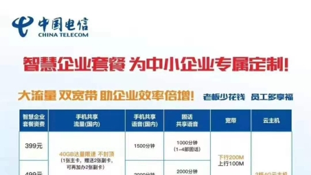 企业网络安全新防线，电信点对点专线与VPN双重保障解析