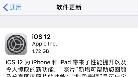 iOS 12 VPN应用深度解析，功能升级与实战技巧揭秘