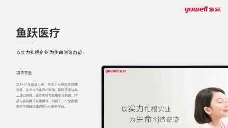 鱼跃VPN VIP账号，畅享无忧网络之旅的秘密武器