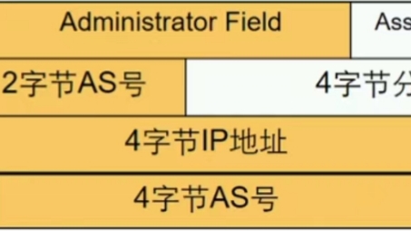 MPLS VPN中RD配置，构建高效网络的关键策略