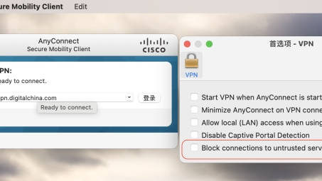 Any Connect VPN，Mac平台上的高效稳定网络连接首选