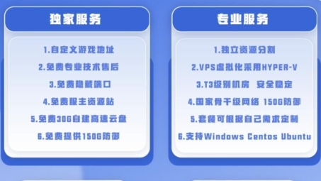 神州VPN充值，解锁全球网络自由畅游