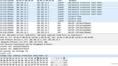 Cisco IPsec VPN清除操作详解，步骤、原因及预防策略