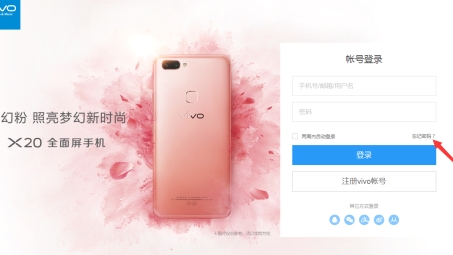 Vivo X9 VPN攻略，畅游全球网络，解锁地域限制