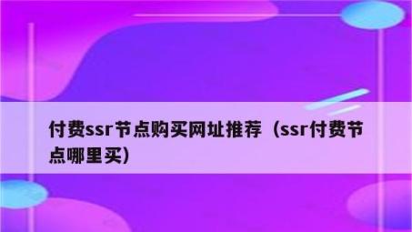 揭秘SSR VPN付费版，价格、功能及性价比深度剖析