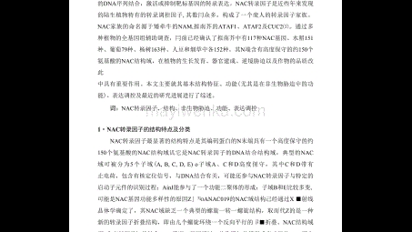 NAC Agent深度解析，解锁VPN访问权限的奥秘