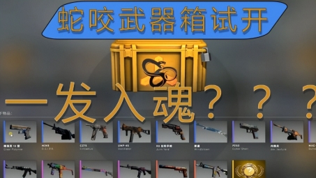 CSGO VPN开箱指南，轻松获得心仪装备的必备攻略