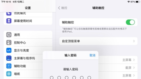 iPad VPN设置攻略，密码、密钥配置及安全要点解析