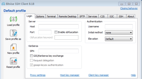 Bitvise SSH Client VPN，一站式高效安全远程访问服务