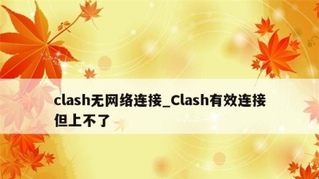 Clash，超越VPN，全能网络加速利器