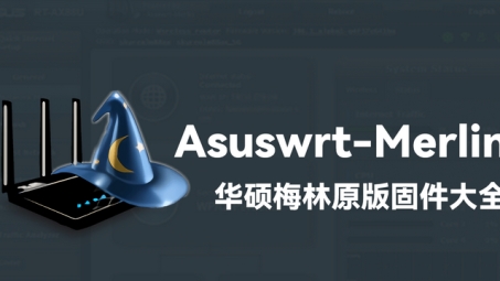 Asuswrt Merlin VPN分流设置攻略，解锁高效网络加速与全方位安全防护