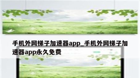 梯子VPN手机版，全球网络自由行，轻松跨越地域壁垒