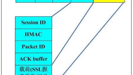 深入剖析，OpenVPN UDP与TCP传输方式的差异与应用