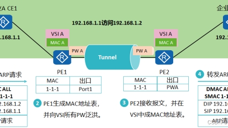 VPLS技术特点与应用场景解析，揭秘多级VPN中的VPLS等级与应用