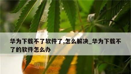 华为升级后VPN无法使用，深度解析原因与解决策略