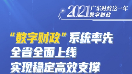 财政部门内网安全效率双提升，VPN技术在财政VPN内网中的应用策略