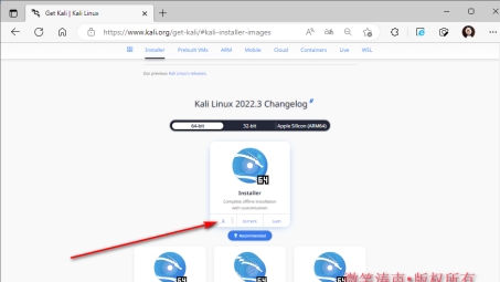 Kali 2.0 VPN连接实战指南解析