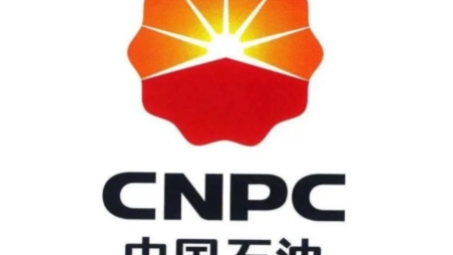 中国石油天然气集团公司网络安全策略深度解读，https://vpn.cnpc详解