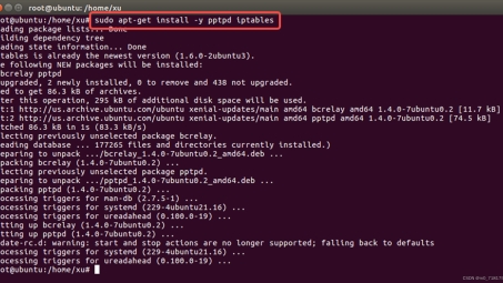 Ubuntu 14.04轻松搭建PPTP VPN教程