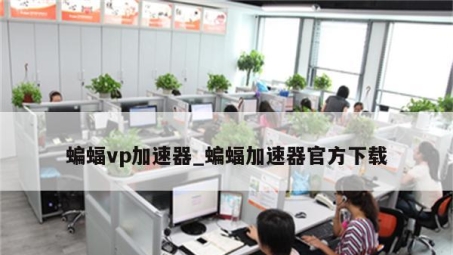 蝙蝠VPN全面评测，性能、安全与性价比深度剖析