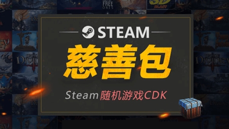 VPN与Steam联合慈善包行动，共建绿色网络公益游戏空间