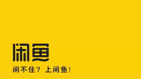 闲鱼VPN无网络现象解析，闲置交易平台隐私保护难题