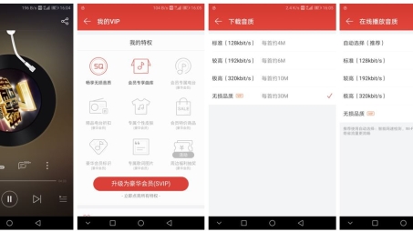 解锁高级VIP VPN，畅享极致网络新境界