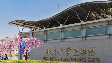 北大医学部，智慧校园建设，VPN助力科研教学新篇章