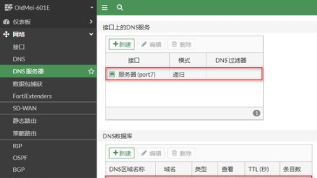 手机VPN DNS转发路线揭秘，守护网络安全与隐私的密码