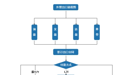 国际出口局VPN申请攻略，流程解析与关键提示