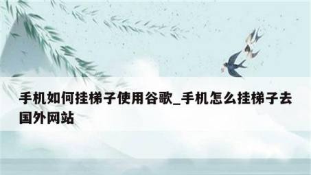 谷歌VPN挂载攻略，详细教程与关键提示