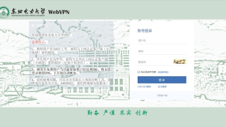 网络守护者，揭秘VPN.ncu.edu.cn在网络安全与学术自由中的角色