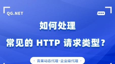 解锁高效网络，Sock5、HTTP与VPN代理服务选型指南