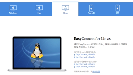 Linux系统中VPN安装状态检查指南