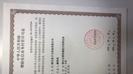 经营VPN许可证攻略，合规经营的关键步骤与策略解析