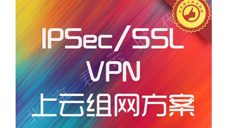 SSL VPN 2050i，引领未来网络安全的SSL VPN新标杆