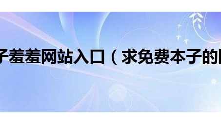 揭秘，本子网站带你走进国外VPN服务的神秘世界