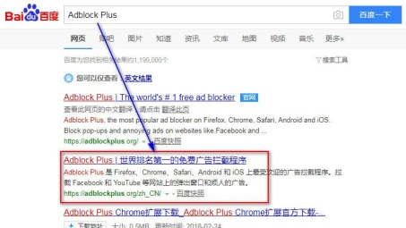 Adblock与VPN双剑合璧，深度揭秘隐私保护与网络优化之道